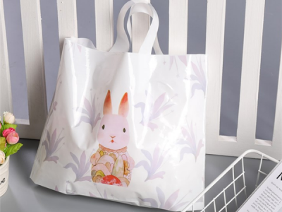 日用(yòng)品包裝(zhuang)袋